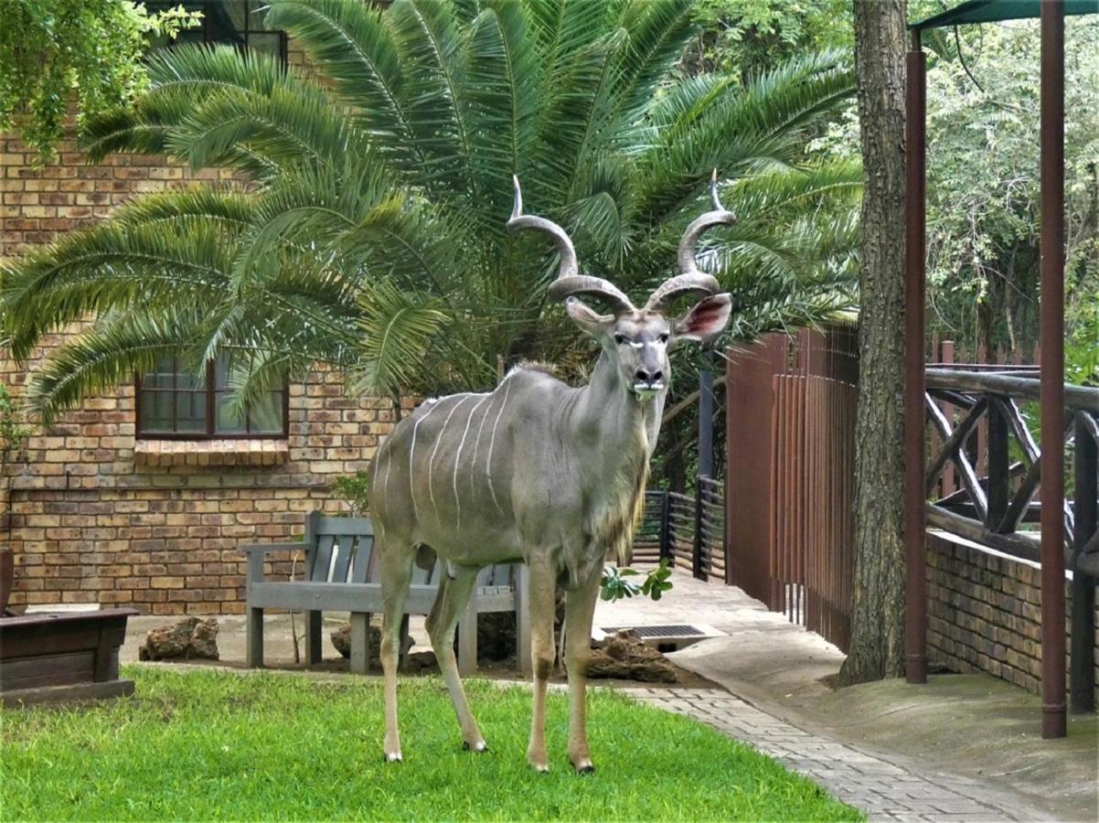Weltevrede Lodge - Self Catering Houses Marloth Park Eksteriør billede